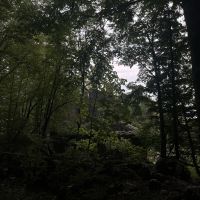  Ruinen im Wald &ndash; &copy; Manuel Gonzalez Urrutia (Eberhardt TRAVEL)