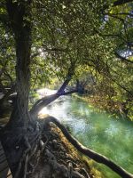 Krka Nationalpark &ndash; &copy; Simone Willner (Eberhardt TRAVEL)