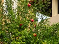 unterwegs &ndash; &copy; Inge Bily (Eberhardt TRAVEL)