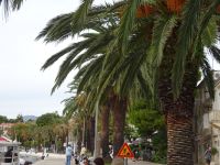 Cavtat: Rundgang