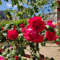 &copy; Petra Hady (Eberhardt TRAVEL)