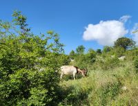 &copy; Petra Hady (Eberhardt TRAVEL)