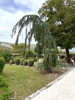 Weingut  &ndash; &copy; Andreas Schmidt (Eberhardt TRAVEL)