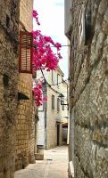 Bougainvillea in Trogir &ndash; &copy; Simone Willner (Eberhardt TRAVEL)