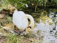 Tag 8 - Krka-Nationalpark  &ndash; &copy; Christin Kuschka (Eberhardt TRAVEL)