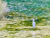 Tag 8 - Krka-Nationalpark  &ndash; &copy; Christin Kuschka (Eberhardt TRAVEL)