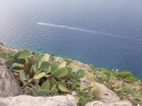 Kaktusfeigen/Wanderung Tucepi - Makarska/Kroatien &ndash; &copy; Susanne Hofen (Eberhardt TRAVEL)