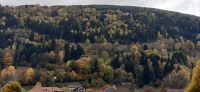 Gmünd &ndash; &copy; Kerstin Hugel (Eberhardt TRAVEL)