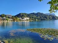 Bleder See, Bled, Slowenien &ndash; &copy; Saskia Pinnow (Eberhardt TRAVEL)