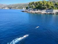 Badefreuden in einer Bucht von Dubrovnik &ndash; &copy; Wolfgang Eckert (Eberhardt TRAVEL)
