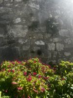 Altstadt Biograd 