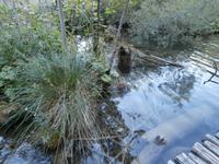 Wandern in den Plitvicer Seen