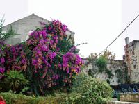 Split &ndash; &copy; Steffen Mucke (Eberhardt TRAVEL)