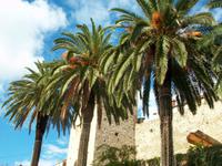 Korcula &ndash; &copy; Steffen Mucke (Eberhardt TRAVEL)