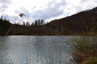 NP Plitwitzer Seen