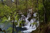 066 NP Plitvicer Seen &ndash; &copy; Konrad Füssel (Eberhardt TRAVEL)