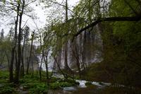 070 NP Plitvicer Seen &ndash; &copy; Konrad Füssel (Eberhardt TRAVEL)