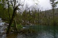 081 NP Plitvicer Seen &ndash; &copy; Konrad Füssel (Eberhardt TRAVEL)