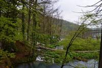 082 NP Plitvicer Seen &ndash; &copy; Konrad Füssel (Eberhardt TRAVEL)