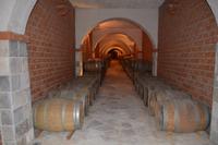 173 Peljesac, Weingut Matusko in Potomje &ndash; &copy; Konrad Füssel (Eberhardt TRAVEL)