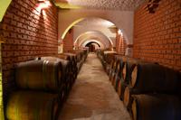 174 Peljesac, Weingut Matusko in Potomje &ndash; &copy; Konrad Füssel (Eberhardt TRAVEL)