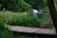 241 Krka NP &ndash; &copy; Konrad Füssel (Eberhardt TRAVEL)