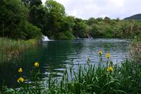 242 Krka NP &ndash; &copy; Konrad Füssel (Eberhardt TRAVEL)