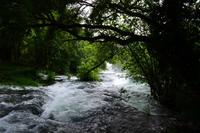 257 Krka NP &ndash; &copy; Konrad Füssel (Eberhardt TRAVEL)