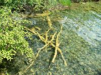 Nationalpark Plitvice &ndash; &copy; Steffen Mucke (Eberhardt TRAVEL)