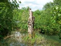 Nationalpark Plitvice &ndash; &copy; Steffen Mucke (Eberhardt TRAVEL)