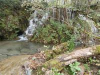 Plitwitzer Seen &ndash; &copy; Ingrid Langer (Eberhardt TRAVEL)