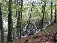 Plitwitzer Seen &ndash; &copy; Ingrid Langer (Eberhardt TRAVEL)