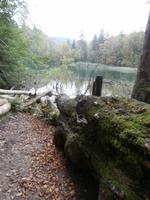 Plitwitzer Seen &ndash; &copy; Ingrid Langer (Eberhardt TRAVEL)