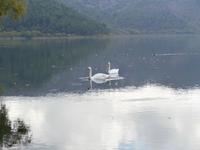 Insel Visovac &ndash; &copy; Ingrid Langer (Eberhardt TRAVEL)