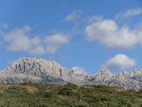 Tulove grede &ndash; &copy; Ingrid Langer (Eberhardt TRAVEL)