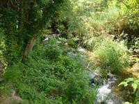 Krka Wasserfälle &ndash; &copy; Harald Kühne (Eberhardt TRAVEL)