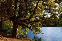 216 Bleder See &ndash; &copy; Konrad Füssel (Eberhardt TRAVEL)