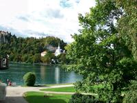 Bled 