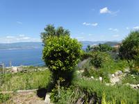 Lorbeer &ndash; &copy; Sabine Letzybyll (Eberhardt TRAVEL)