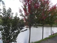 Fužine  &ndash; &copy; Christina Schlawis (Eberhardt TRAVEL)