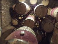 Weingut Pavlomir &ndash; &copy; Christina Schlawis (Eberhardt TRAVEL)