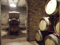 Weingut Pavlomir &ndash; &copy; Christina Schlawis (Eberhardt TRAVEL)