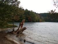 Nationalpark 