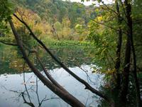 Nationalpark 