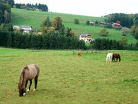 Semriach