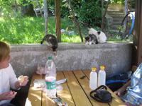 IMG_9921 &ndash; &copy; Kerstin Veit (Eberhardt TRAVEL)