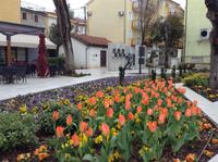 in Selce &ndash; &copy; Uta Schöne (Eberhardt TRAVEL)