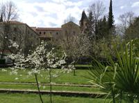 Frühling auf Visovac &ndash; &copy; Uta Schöne (Eberhardt TRAVEL)