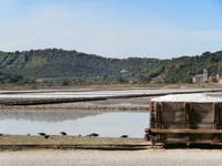 Salinen in Ston &ndash; &copy; Ingrid Langer (Eberhardt TRAVEL)