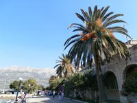 Korcula &ndash; &copy; Ingrid Langer (Eberhardt TRAVEL)